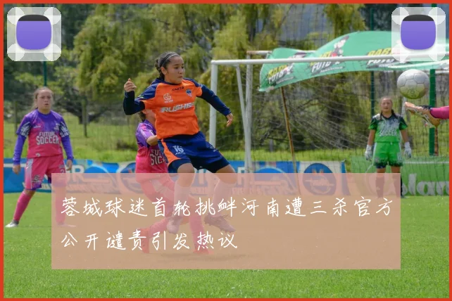 蓉城球迷首轮挑衅河南遭三杀官方公开谴责引发热议