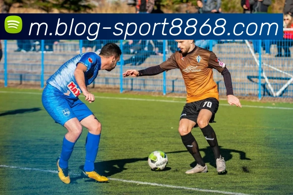 8868体育服务体系